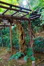 Old Tree roots in park Sybmol of source