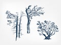 Old tree set design elements vector sketch illustration japanese chinese oriental line art design elements