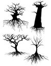 Old tree Silhouettes with roots Royalty Free Stock Photo