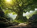 Old tree in spring mixed forest