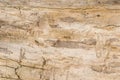 Old tree stump background, weathered wood texture with the cross section of a cut log Royalty Free Stock Photo