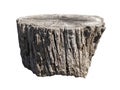 old tree stump isolated on white background Royalty Free Stock Photo