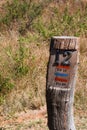 OLD TREE STUMP MARKER ON A HIKING TRAIL