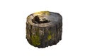 Old tree stump with moss isolated on white Royalty Free Stock Photo