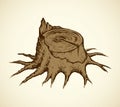 Old tree stump. Vector sketch Royalty Free Stock Photo