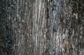 An old tree trunk as a natural background. Royalty Free Stock Photo