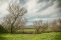 Old tree trunk at the bank of Jordan River Royalty Free Stock Photo