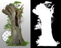 Cut out hollow tree Royalty Free Stock Photo