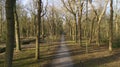 Old trees along a walking path in Oostvoorne in the Netherlands Royalty Free Stock Photo