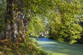 Old trees in the park, castle Wissen, Germany