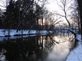 River Sysa and trees in winter in sunset time, Lithuania Royalty Free Stock Photo