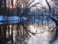 River Sysa and trees in winter in sunset time, Lithuania Royalty Free Stock Photo