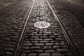 Old trolley tracks and cobblestones Royalty Free Stock Photo