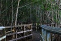 Old tropical Boardwalk Royalty Free Stock Photo