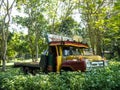 Old truck in the forest, A rusty pickup car wreck is abandoned in the agricultural fields Royalty Free Stock Photo