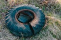 Old truck tire rubber lying on the grass Royalty Free Stock Photo