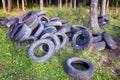 Old truck tires in the forest. Unauthorized landfill. Environmental pollution problem