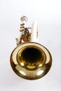 Old Trumpet Royalty Free Stock Photo