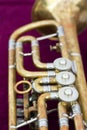 Old trumpet in case Royalty Free Stock Photo