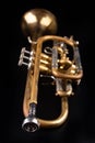 Old trumpet on a dark wooden table. Wind instrument in the old style Royalty Free Stock Photo