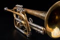 Old trumpet on a dark wooden table. Wind instrument in the old style Royalty Free Stock Photo