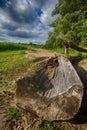 Old trunk on the bank of the river Royalty Free Stock Photo