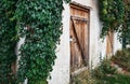 Old try with a wooden textured door, an old wall with crumbling plaster, overgrown with wild grapes. Sunlight, focus on the Royalty Free Stock Photo