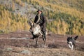 Old Mongolian man riding a reindeer. Royalty Free Stock Photo