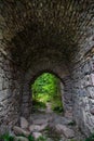 The old tunnel leads to the forest. Tunnel and stone arch Royalty Free Stock Photo