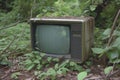 An old TV is left abandoned in the middle of a forest surrounded by trees and foliage, retro Royalty Free Stock Photo