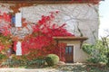 Old two floors apartment with wooden door and windows, and red leaves on the wall Royalty Free Stock Photo