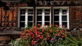 Old typical House Windows Decorative With Flowers Royalty Free Stock Photo