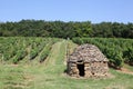 Old and typical stone hut in the vineyards of Beaujolais