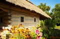 Old ukrainian house, Pirogovo, Kiev, Ukraine Royalty Free Stock Photo