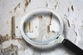 Old unhealthy interior plaster wall damaged by rising damp or from water leaks - concept image seen through a magnifying glass