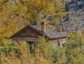 Old unoccupied, abandoned cabin in the overgrown wilderness of Utah Royalty Free Stock Photo