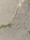 Old cracked asphalt on a sunny day Royalty Free Stock Photo