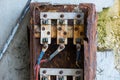 Old unused electric power distribution box Royalty Free Stock Photo