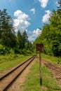 Old, unused railway tracks in the forest