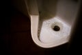 The old urinal is dirty and unlikely to use. Royalty Free Stock Photo
