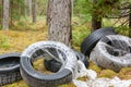 Old used car tires left, dumped in the forest, environmental concept Royalty Free Stock Photo