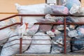 old used clothes in plastic bags. New arrival of the goods in the second-hand store. Humanitarian aid for children affected by the Royalty Free Stock Photo