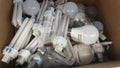 Different light bulbs collected for recycling.