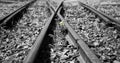 Old used railway tracks in duotone and small flower in colour ar Royalty Free Stock Photo