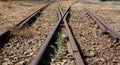 Old used railway tracks in and small flower in colour Royalty Free Stock Photo