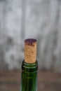 Old used wine bottle cork closeup for winery concept backdrop with copy space Royalty Free Stock Photo