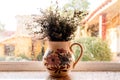 Old vase with dried flowers in a window on a nostalgic autumn rainy day, film grain added Royalty Free Stock Photo