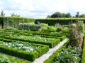 Old vegetable garden