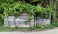 Old Vegetable Garden Shed Covered with Ivy in the Mediterranean countryside Royalty Free Stock Photo