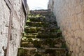 Old vegetated staircase at an ancient house in Europe